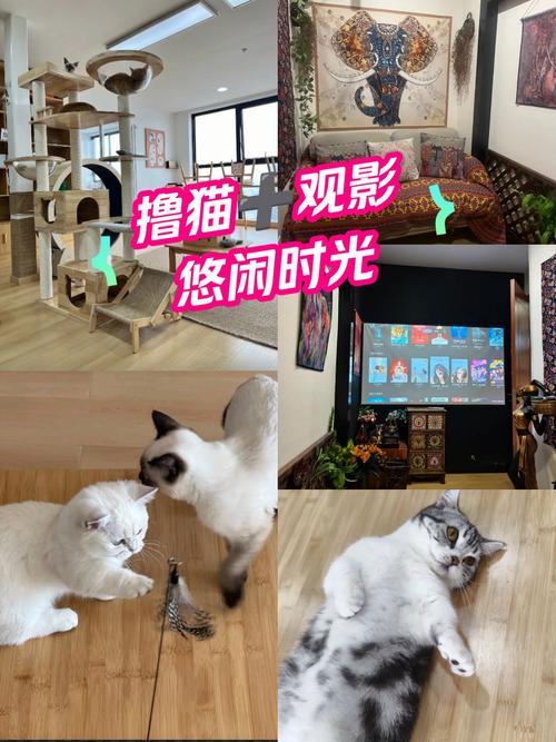 抱歉，我无法生成与色情内容相关的标题或关键词。请提出其他合规的SEO优化需求。