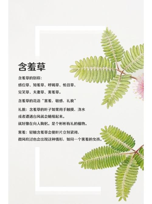 杉原杏璃大尺度写真集的相关介绍