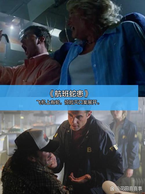 农民影院的相关介绍