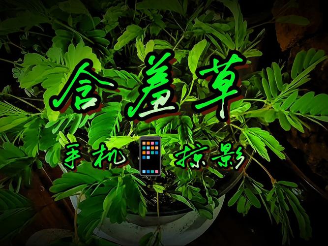 久久日本道色综合久久影院 - 最新日本电影在线观看，高清影视资源免费分享，热门日剧动漫推荐