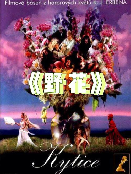 福音影院基督教影视网 | 在线观看高清主内电影、福音剧集与信仰纪录片