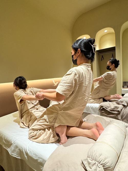 日本女优波的相关介绍