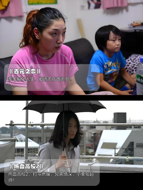 18禁网站入口免费网址处的相关介绍