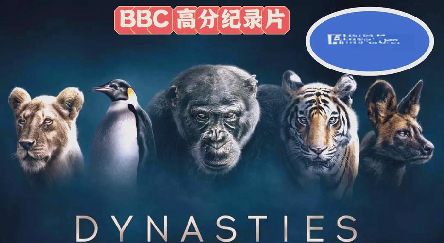 私人影院装修指南 | 家庭影院设计 | 隔音方案 | 个人影院效果图