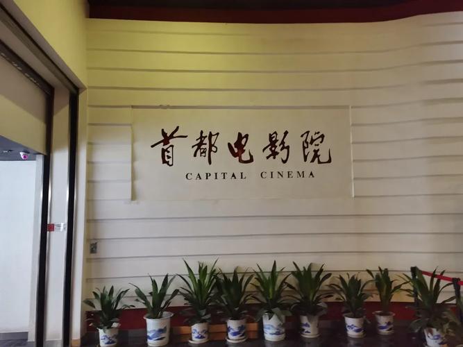 日本精油按摩｜深层淋巴排毒・和汉植物精油SPA・东京口碑舒缓疗程（含3个长尾关键词：日本精油按摩疗程、和汉植物精油SPA、东京深层舒缓按摩）