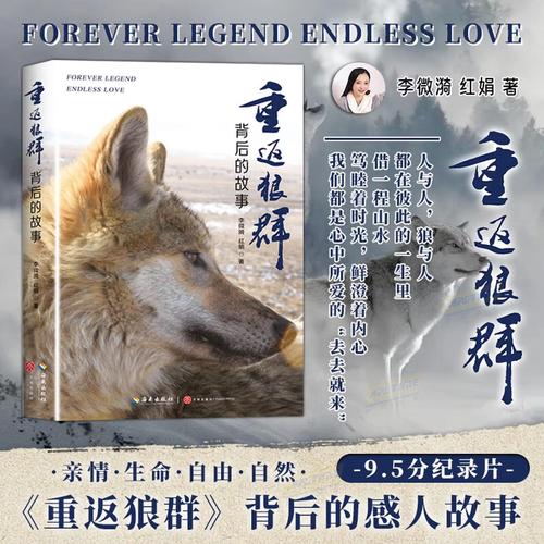 yy6609私人影院 | 沉浸式观影体验、情侣包场推荐、私人影院价格攻略