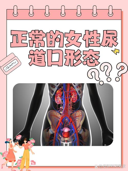 日本波的相关介绍