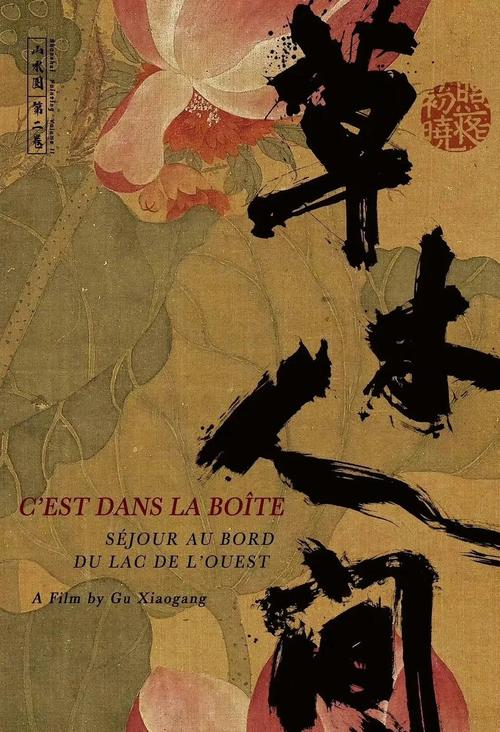远古影院：探索史前巨兽的奥秘，重温恐龙时代的震撼与感动